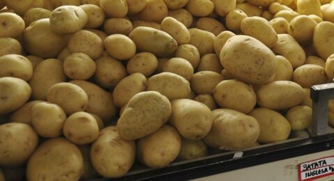 Imagem do post Índice que mede inflação oficial tem deflação em agosto