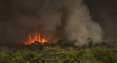 Imagem do post Incêndios podem ter afetado mais de 11 milhões de pessoas no Brasil