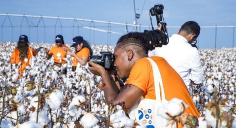 Imagem do post Inscrições para o Prêmio Abapa de Jornalismo 2024 encerram em 20 de setembro