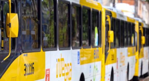 Imagem do post Transporte público em Salvador será gratuito neste domingo (6)