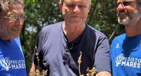 Imagem do post Na Bahia, embaixador e cônsules franceses visitam projeto socioambiental realizado pela PRÓ-MAR