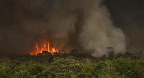 Imagem do post Brasil tem 22,38 milhões de hectares atingidos pelo fogo em nove meses