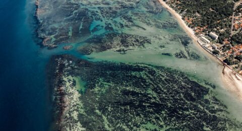 Imagem do post VII Fórum de Sustentabilidade da Baía de Todos os Santos