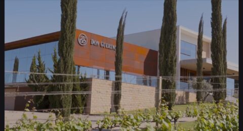 Imagem do post Don Guerino, tradição e inovação em cada taça