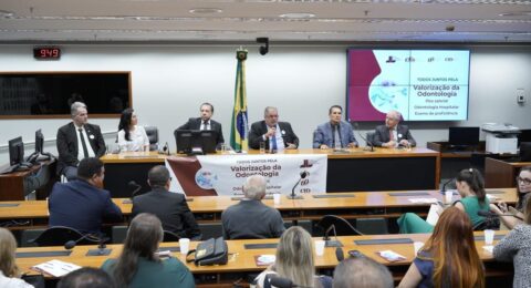 Imagem do post CRO Bahia representa conselhos de todo o Brasil em reunião na Câmara dos Deputados