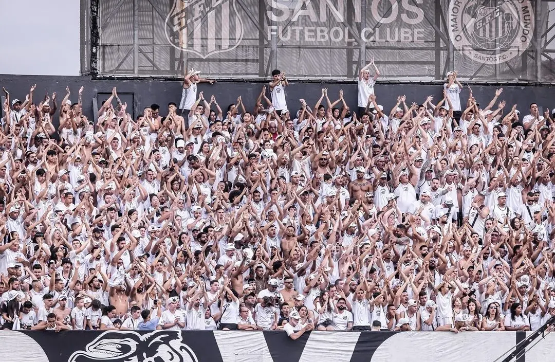 Santos é campeão da Série B de 2024