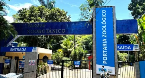 Imagem do post Zoo tem entrada exclusiva pelo Alto de Ondina durante reforma, com reforço na segurança para visitantes