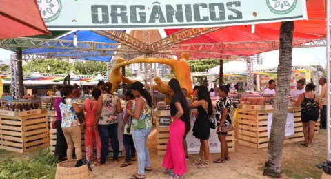 Imagem do post Feira de Produtos Orgânicos traz saúde e sustentabilidade para Salvador