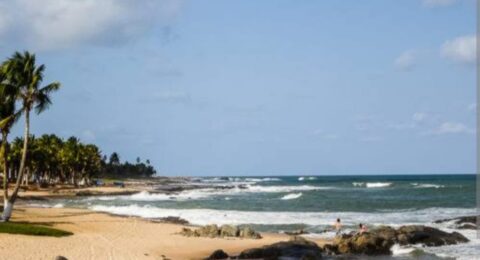 Imagem do post Inclusão é a nossa Praia: ação promove atividades gratuitas na Praia de Itapuã