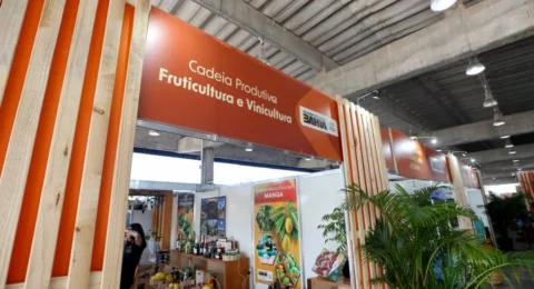 Imagem do post Fenagro movimenta agronegócio baiano com serviços disponibilizados pelo Estado