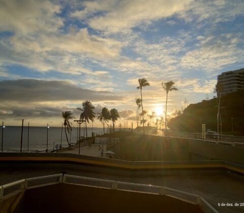 Imagem do post Parques e espaços culturais ampliam opções de lazer em Salvador no verão