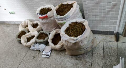 Imagem do post Operação Alvorada combate tráfico de drogas em Campo Formoso e Antônio Gonçalves