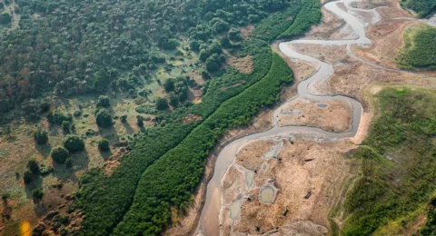 Imagem do post Turismo e crise climática: os caminhos sustentáveis para a Amazônia