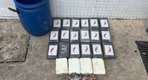 Imagem do post Drogas apreendidas no Lobato