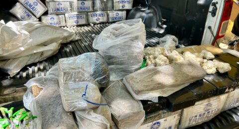 Imagem do post Polícia Civil incinera 175 quilos de drogas em Santo Antônio de Jesus