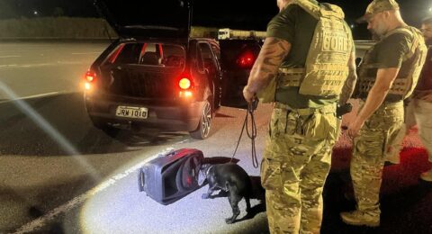 Imagem do post Polícia Civil realiza bloqueios na BR-324 para combater o crime organizado