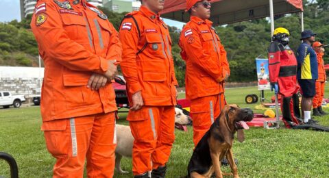 Imagem do post Bombeiros reforçam Operação Aérea no Carnaval 2025 com dois helicópteros