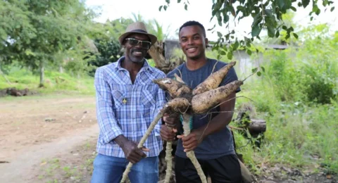 Imagem do post Prorrogado o prazo de inscrições para o Garantia-Safra na Região 2 da Bahia