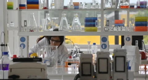 Imagem do post Senai atenderá 10,8 mil micro, pequenas e médias indústrias em 2025