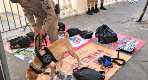 Imagem do post Cães da PM farejam drogas e armas nos portais