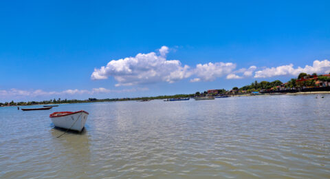Imagem do post Temperaturas no Vale do São Francisco podem chegar aos 39°C