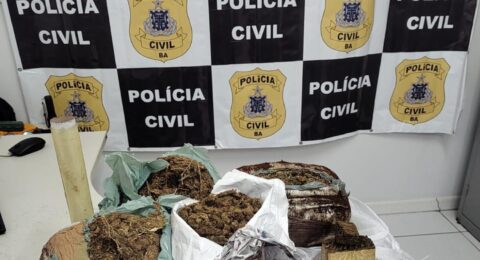 Imagem do post Ex-presidiário é autuado por tráfico de drogas em Amargosa