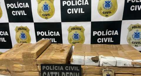 Imagem do post Operação da Polícia Civil apreende 31 quilos de maconha em Guanambi