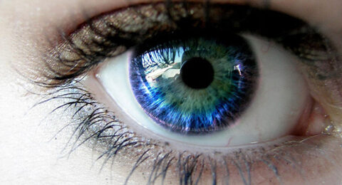 Imagem do post Bahia sedia seminário sobre doenças raras