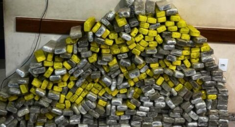 Imagem do post PM apreende farta quantidade de maconha