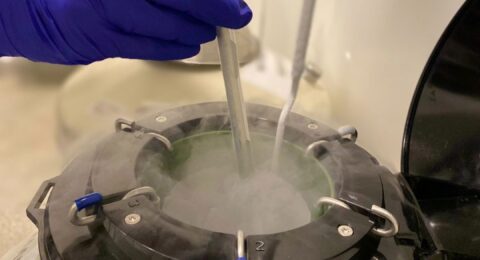 Imagem do post Especialistas destacam importância do aconselhamento reprodutivo para mulheres que atingiram os 30 anos