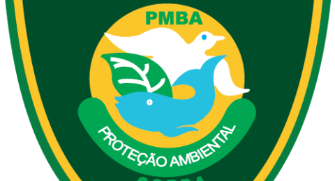 Imagem do post Jovem picado por serpente é salvo pela PM