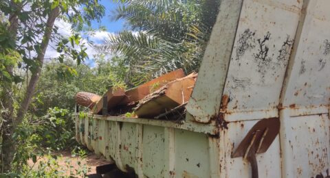 Imagem do post Inema combate desmatamento em Mata Atlântica