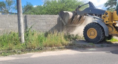 Imagem do post Governo do Estado inicia operação de retomada de posse de áreas invadidas