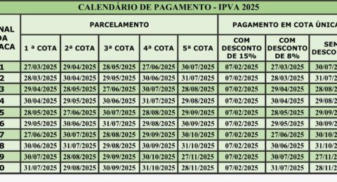 Imagem do post IPVA com 8% de desconto para placa final 6 vence nesta quinta (29) na Bahia