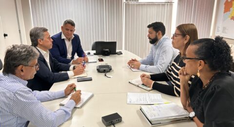 Imagem do post Bahia amplia protagonismo no agro com investimentos em tecnologia