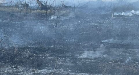 Imagem do post Bombeiros combatem seis incêndios em um dia em Luís Eduardo Magalhães