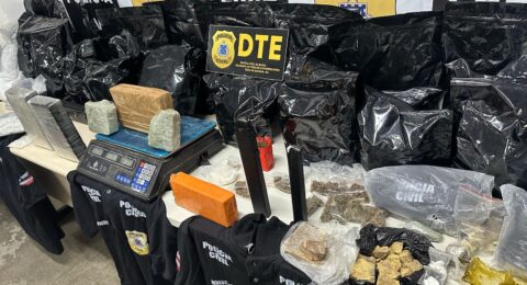 Imagem do post Trinta quilos de drogas são apreendidos pela polícia baiana