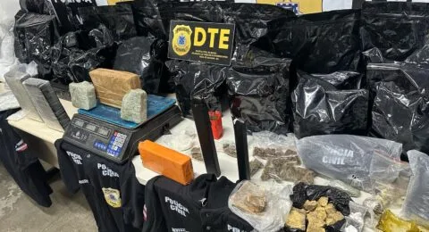 Imagem do post Trinta quilos de drogas são apreendidos pela polícia baiana