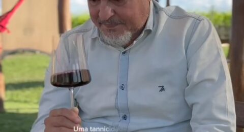 Imagem do post Morro do Chapéu se destaca na produção de vinhos e atrai turistas com enoturismo na Chapada Diamantina