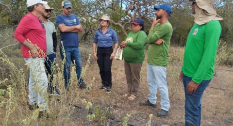 Imagem do post Representantes  internacionais visitam o Semiárido baiano