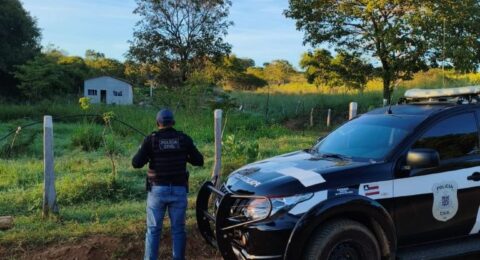 Imagem do post Operação cumpre mandados de busca e apreensão