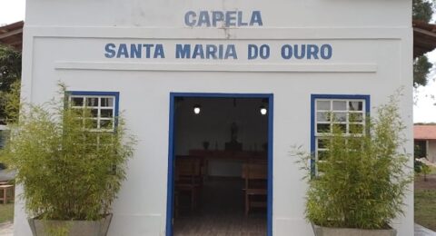 Imagem do post Sabores da Chapada: A história da Vinícola Santa Maria