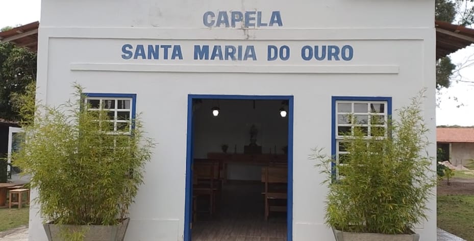 Sabores da Chapada: A história da Vinícola Santa Maria