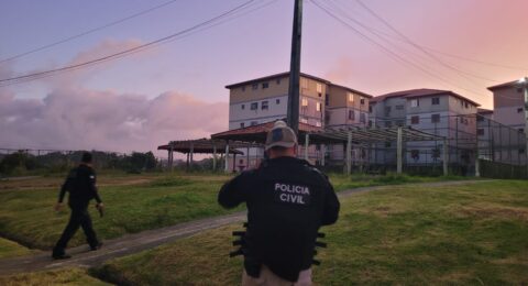 Imagem do post Grupo criminoso é preso por tráfico de animais silvestres