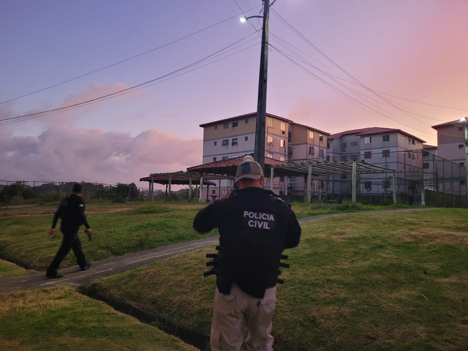 Grupo criminoso é preso por tráfico de animais silvestres
