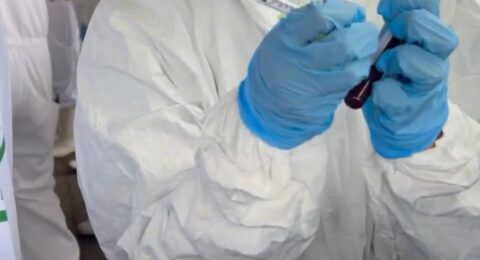 Imagem do post Bahia quer ampliar mercado de carne