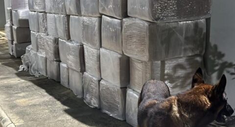 Imagem do post FICCOs BA e SP, PM, PF e PRF interceptam cerca de 3 toneladas de maconha