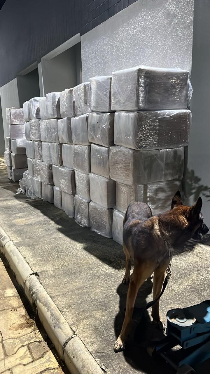 FICCOs BA e SP, PM, PF e PRF interceptam cerca de 3 toneladas de maconha