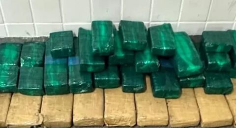 Imagem do post PM apreende 50kg de maconha em Feira de Santana