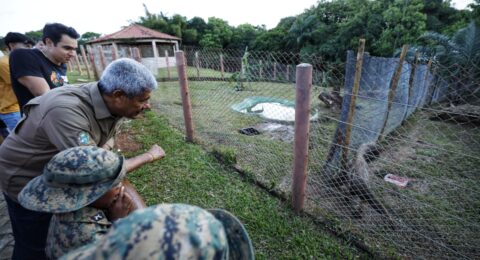 Imagem do post Parque Zoobotânico de Salvador reabre após obras